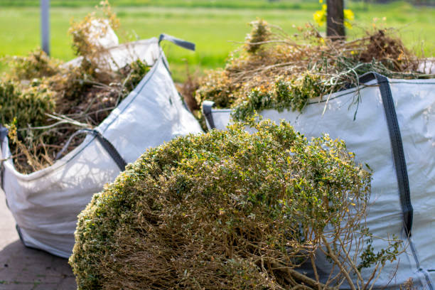 Best Residential Junk Removal  in Angels, CA